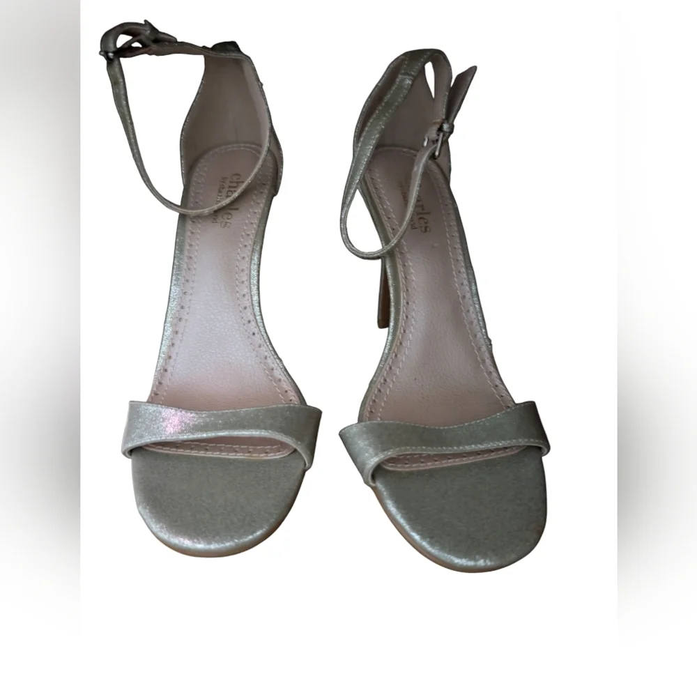 Elegant Silver Ankle Strap Sandals